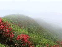 2014年永州旅行