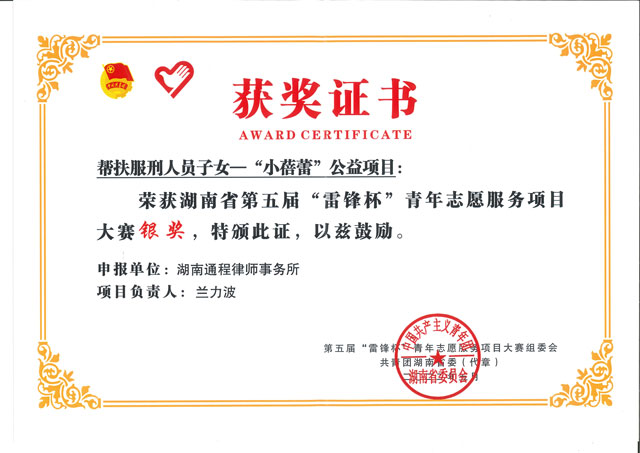 湖南省第五届“雷锋杯”青年志愿服务服务项目大赛银奖
